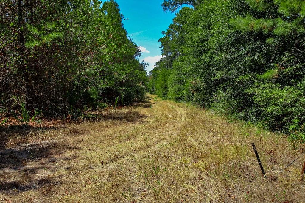 00 Sand, Lufkin, Texas image 26