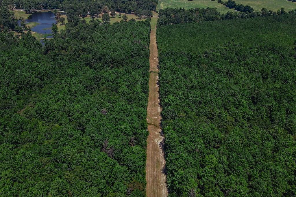 00 Sand, Lufkin, Texas image 11