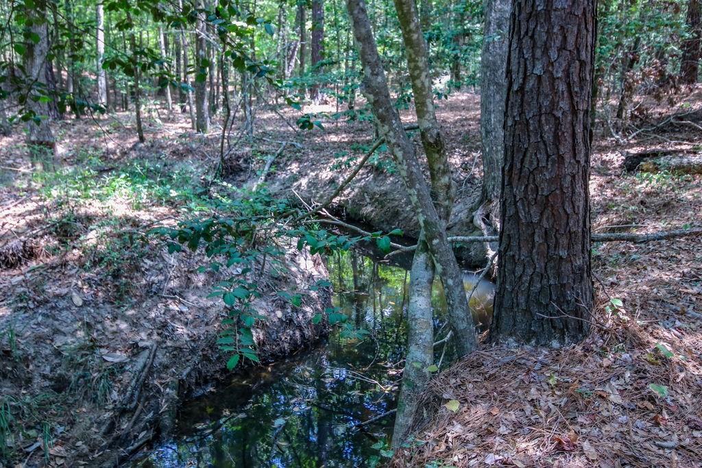 00 Sand, Lufkin, Texas image 36