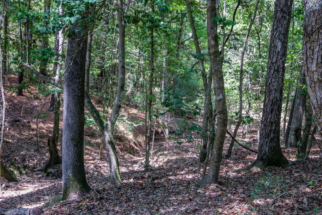 00 Sand, Lufkin, Texas image 45