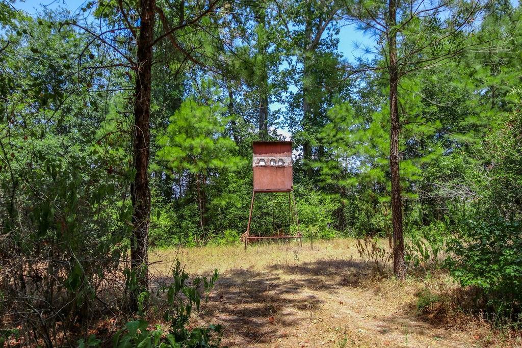 00 Sand, Lufkin, Texas image 25