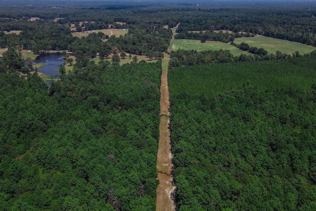 00 Sand, Lufkin, Texas image 10