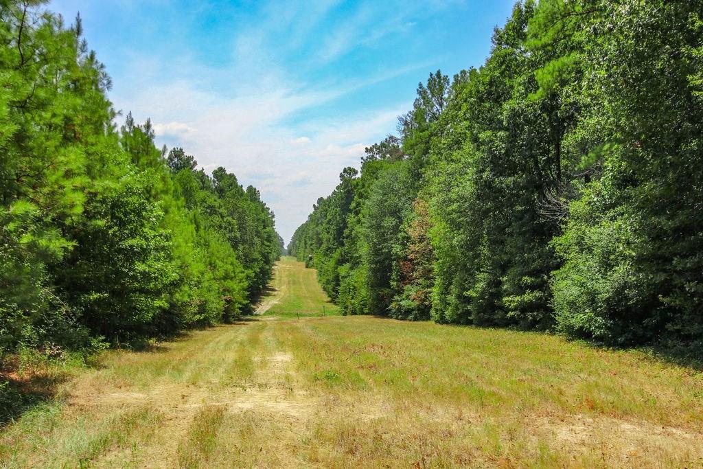 00 Sand, Lufkin, Texas image 31