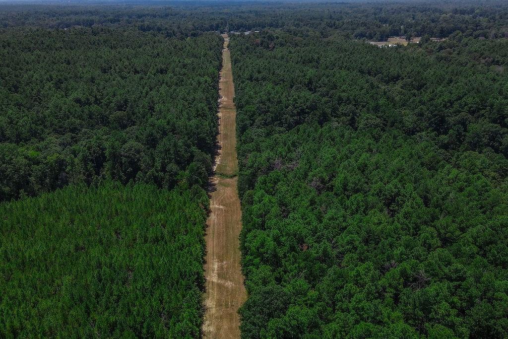 00 Sand, Lufkin, Texas image 4