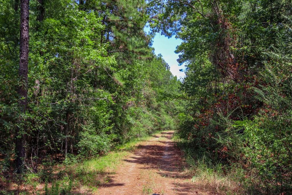 00 Sand, Lufkin, Texas image 47