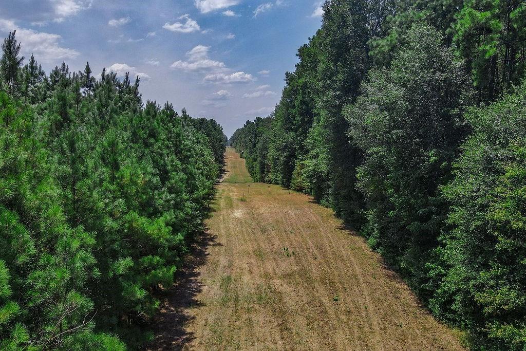 00 Sand, Lufkin, Texas image 3