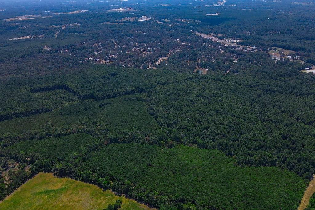 00 Sand, Lufkin, Texas image 18