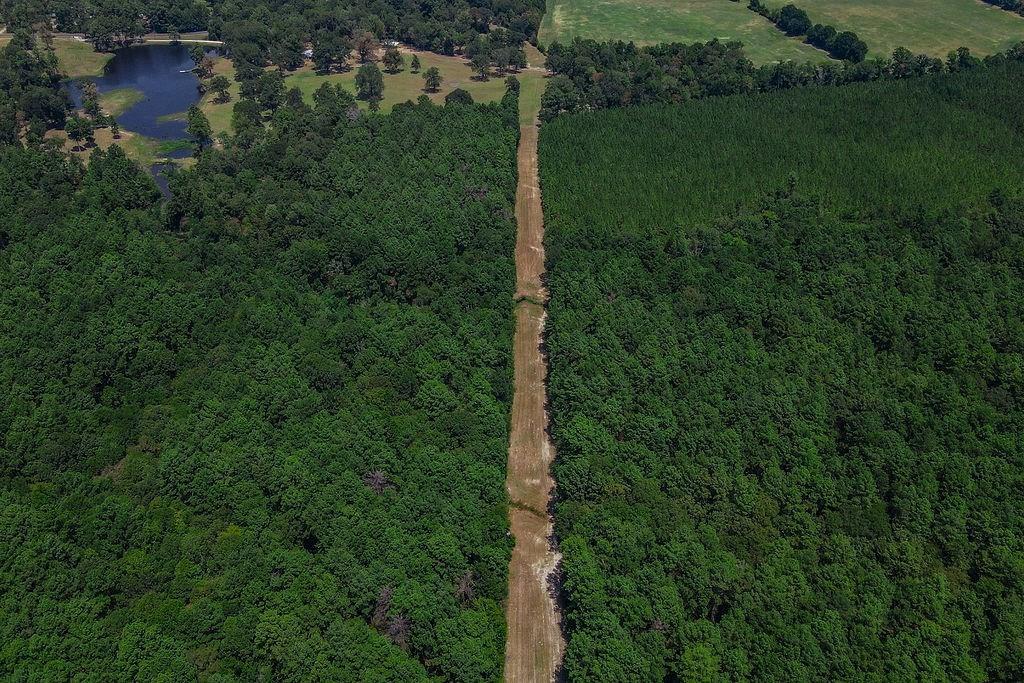 00 Sand, Lufkin, Texas image 12