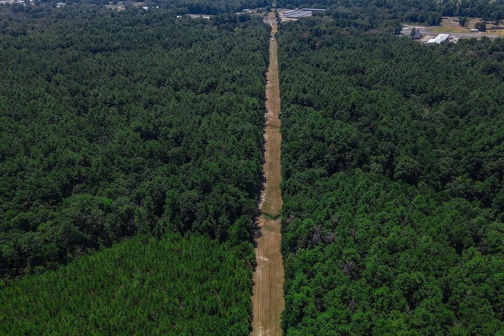 00 Sand, Lufkin, Texas image 5