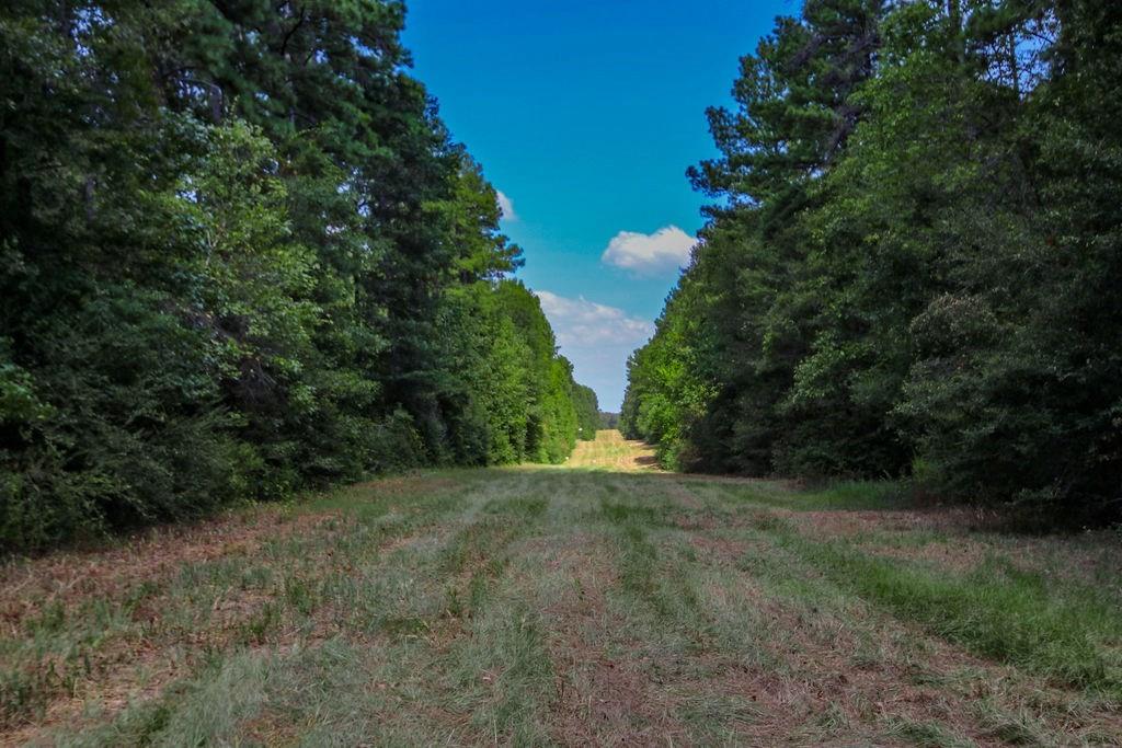 00 Sand, Lufkin, Texas image 20