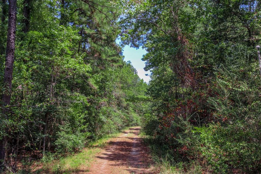 00 Sand, Lufkin, Texas image 48