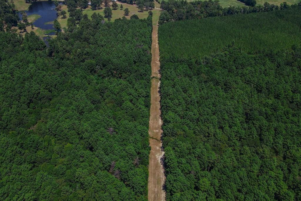 00 Sand, Lufkin, Texas image 13