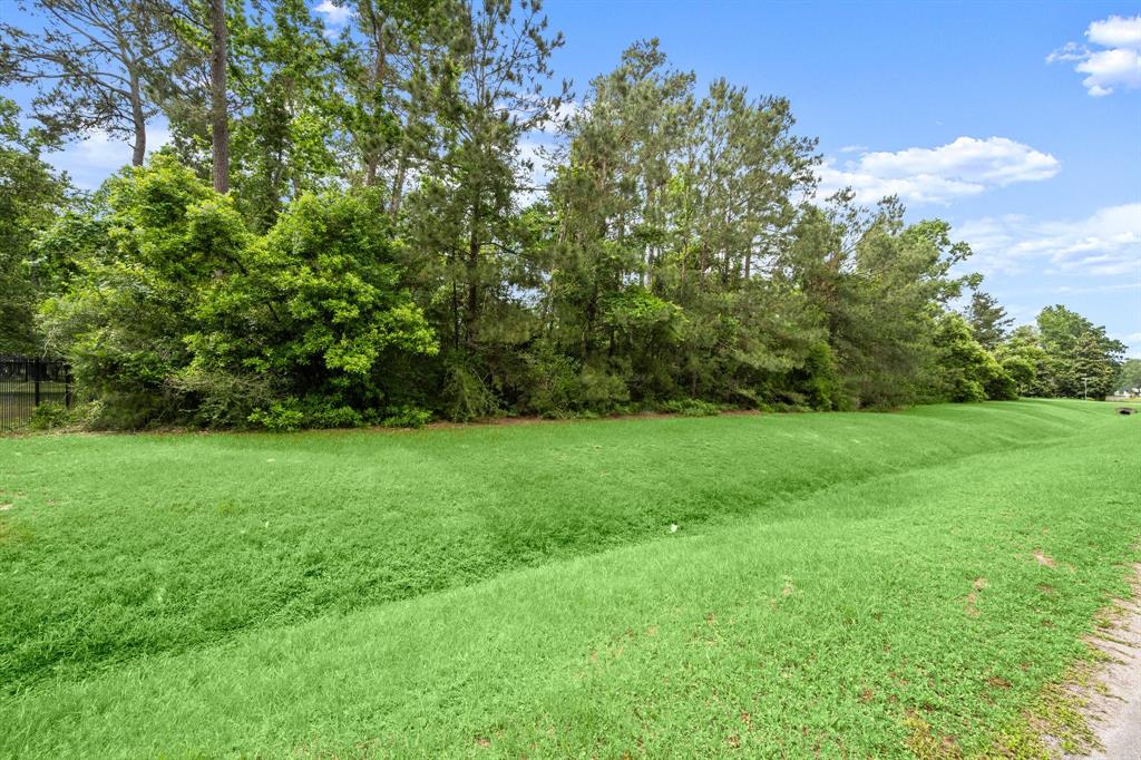 4138 Angling Lane, Spring, Texas image 8