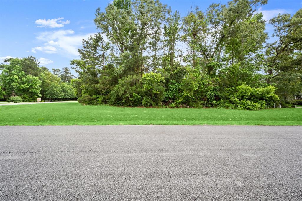 4138 Angling Lane, Spring, Texas image 10