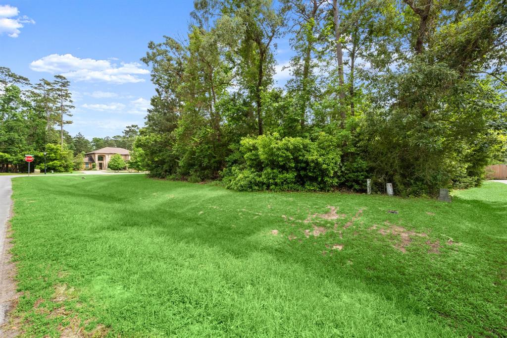 4138 Angling Lane, Spring, Texas image 5