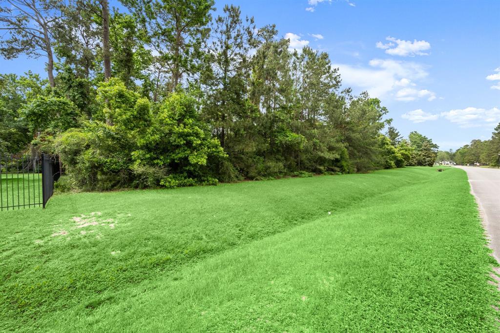 4138 Angling Lane, Spring, Texas image 9