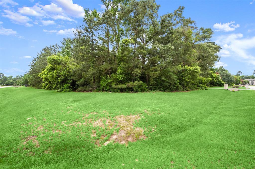 4138 Angling Lane, Spring, Texas image 7
