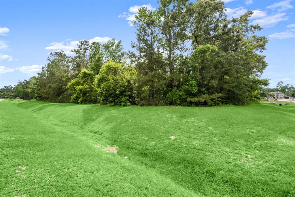 4138 Angling Lane, Spring, Texas image 6