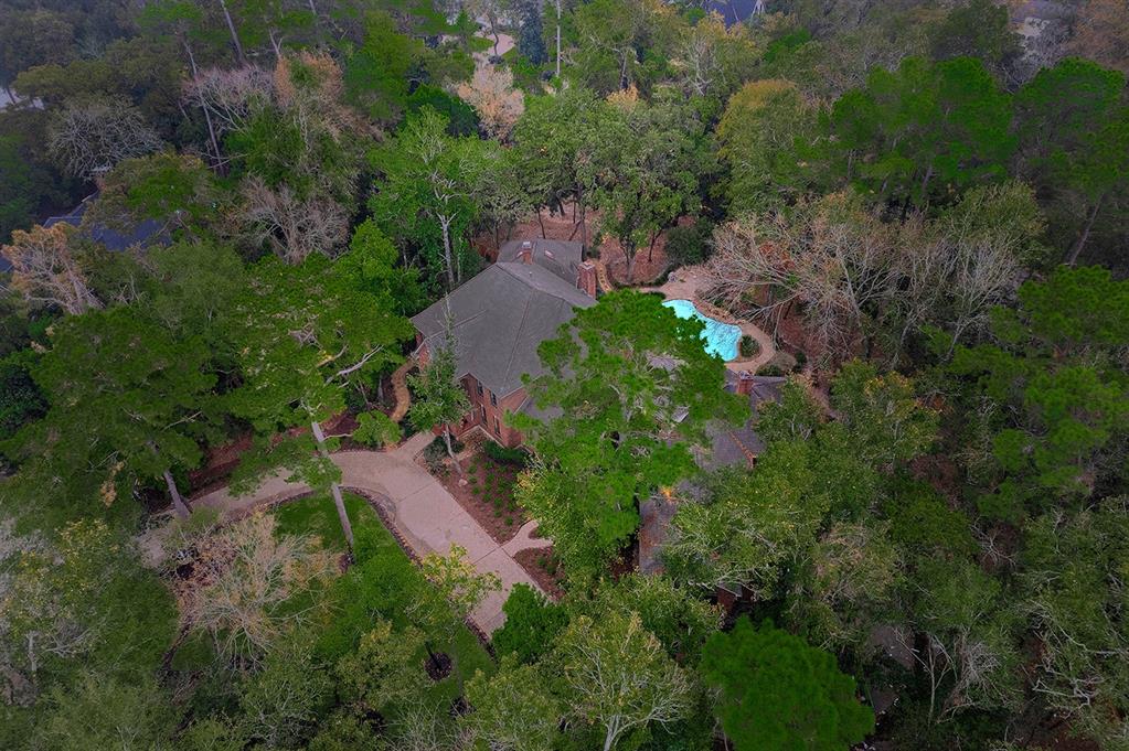 10 Misty Point, The Woodlands, Texas image 48