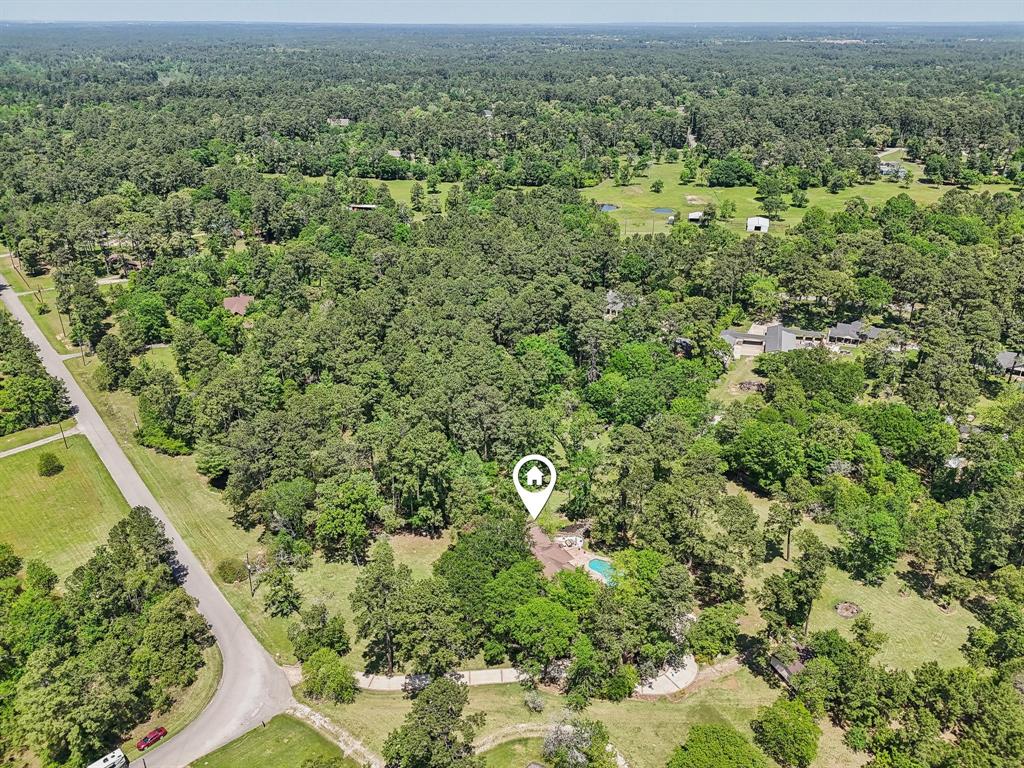 33302 Alton Wright Drive, Magnolia, Texas image 49