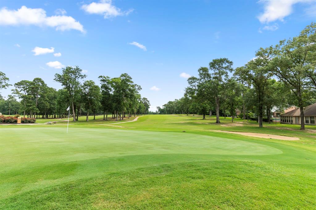 3 Hanover Ln, Conroe, Texas image 12
