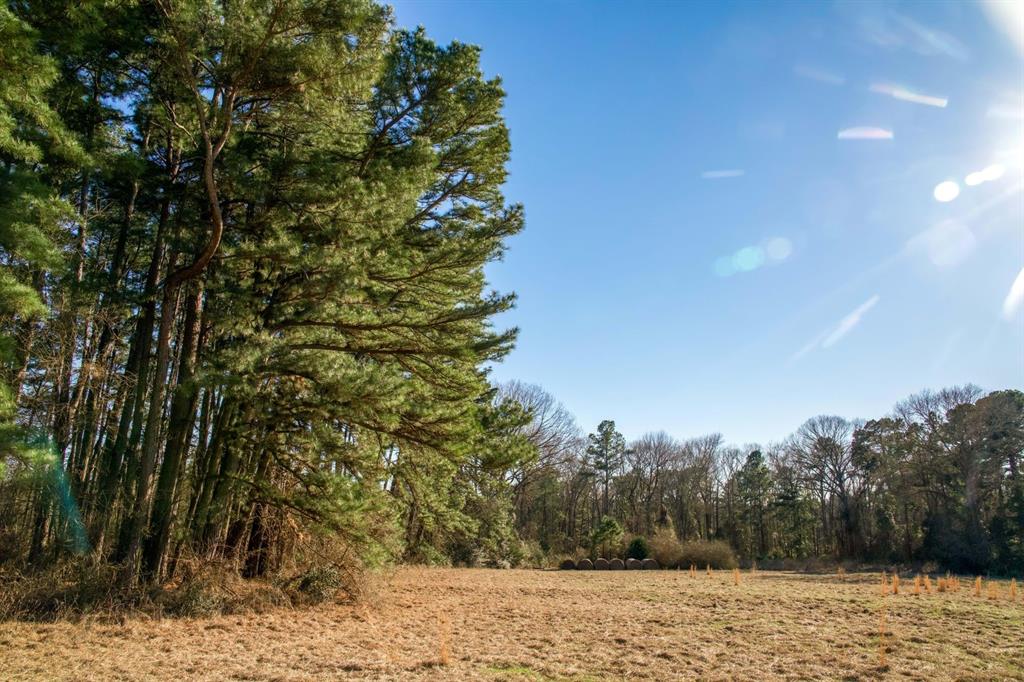 TBD 2 County Road 453, Laneville, Texas image 8
