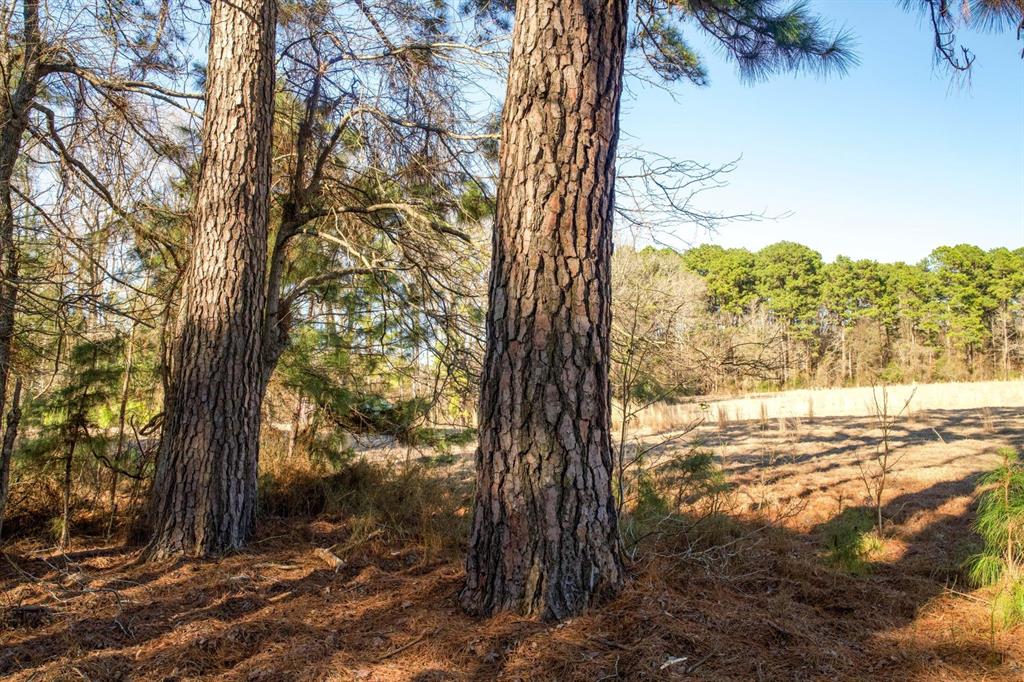 TBD 2 County Road 453, Laneville, Texas image 16
