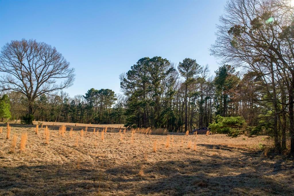 TBD 2 County Road 453, Laneville, Texas image 7