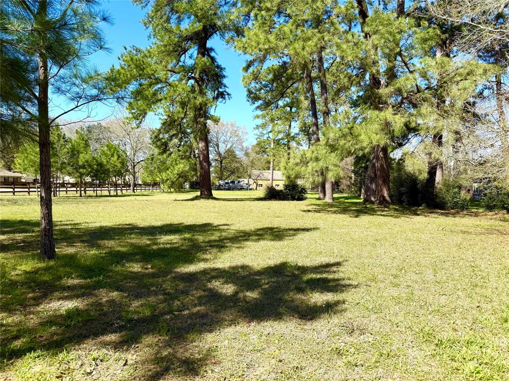 TBD S Rosewood Trail Drive, Tomball, Texas image 5