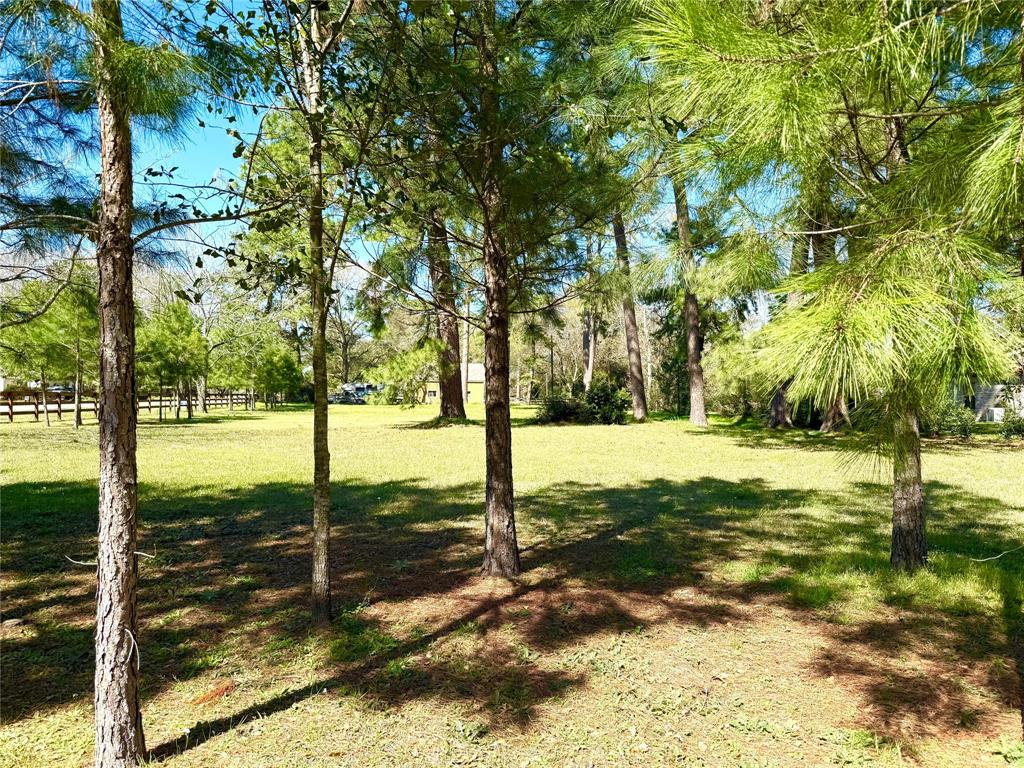 TBD S Rosewood Trail Drive, Tomball, Texas image 3