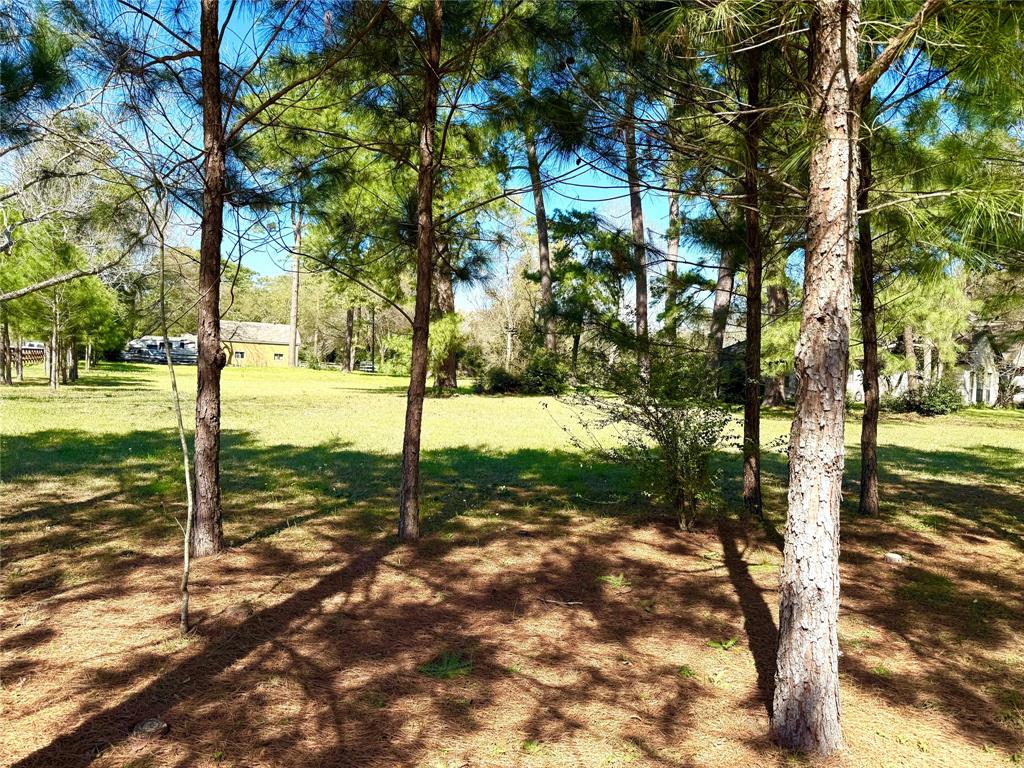 TBD S Rosewood Trail Drive, Tomball, Texas image 8