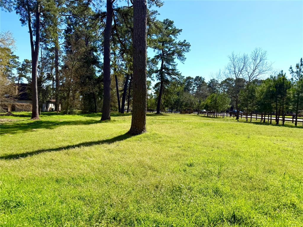 TBD S Rosewood Trail Drive, Tomball, Texas image 4