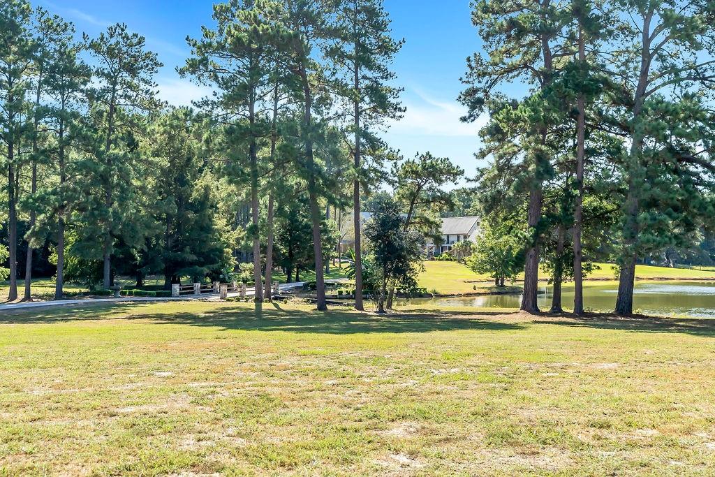 43 Pool Road, Richards, Texas image 49