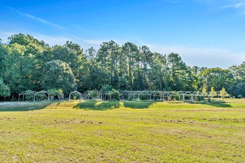 43 Pool Road, Richards, Texas image 43