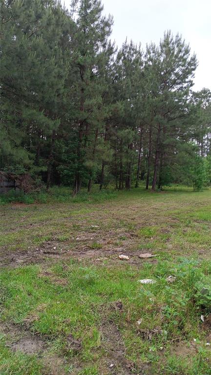 190 Oldbury Street, Vidor, Texas image 7