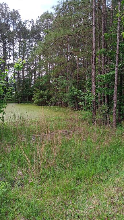 190 Oldbury Street, Vidor, Texas image 2
