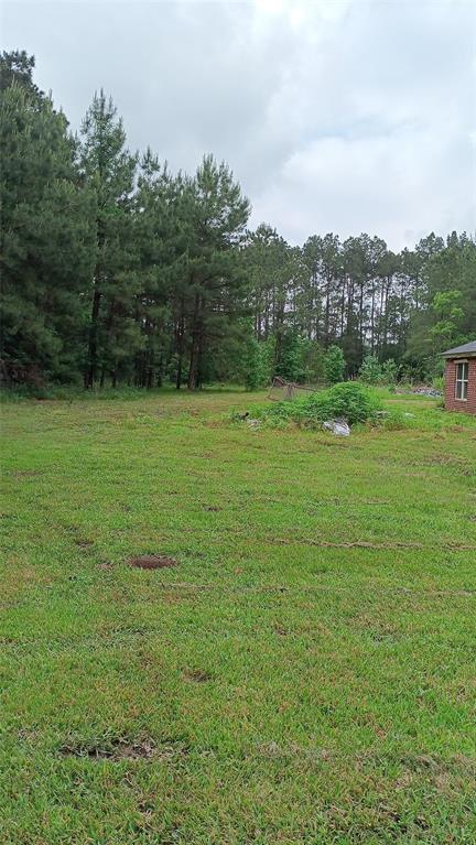 190 Oldbury Street, Vidor, Texas image 4