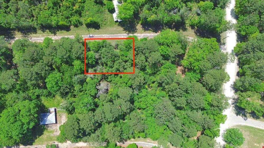 2095 Marion Drive, Ivanhoe, Texas image 3