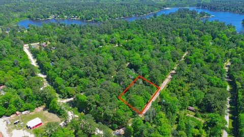Photo of 2095 Marion Drive, Ivanhoe, TX 75979 (MLS # 27826213)