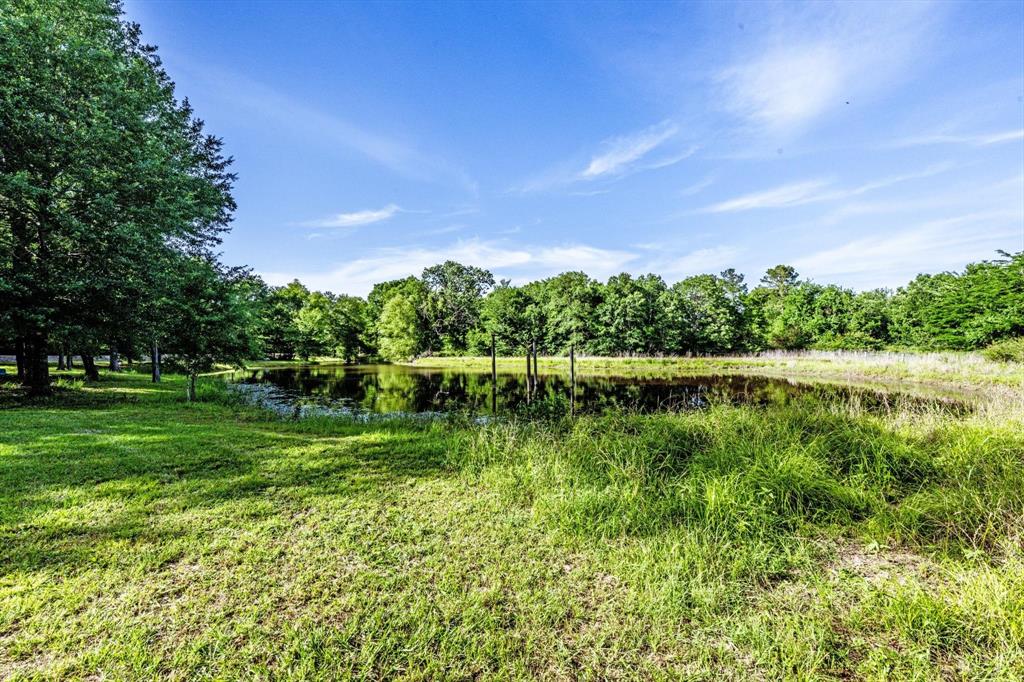 78 Piney Point Road, Huntsville, Texas image 38
