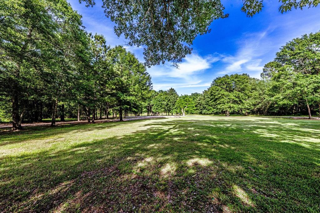 78 Piney Point Road, Huntsville, Texas image 35