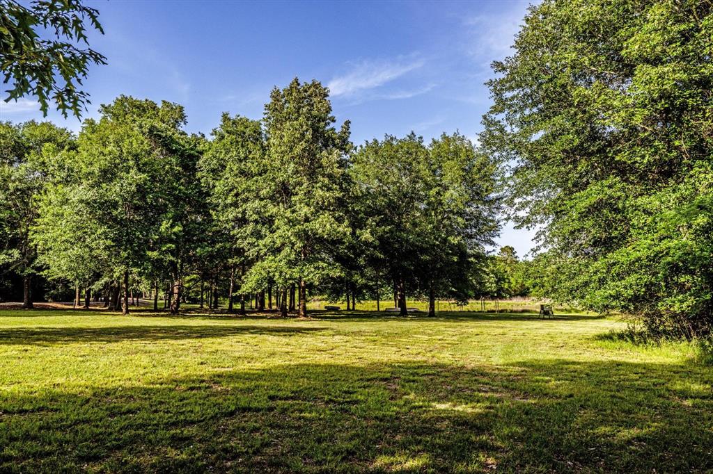 78 Piney Point Road, Huntsville, Texas image 39