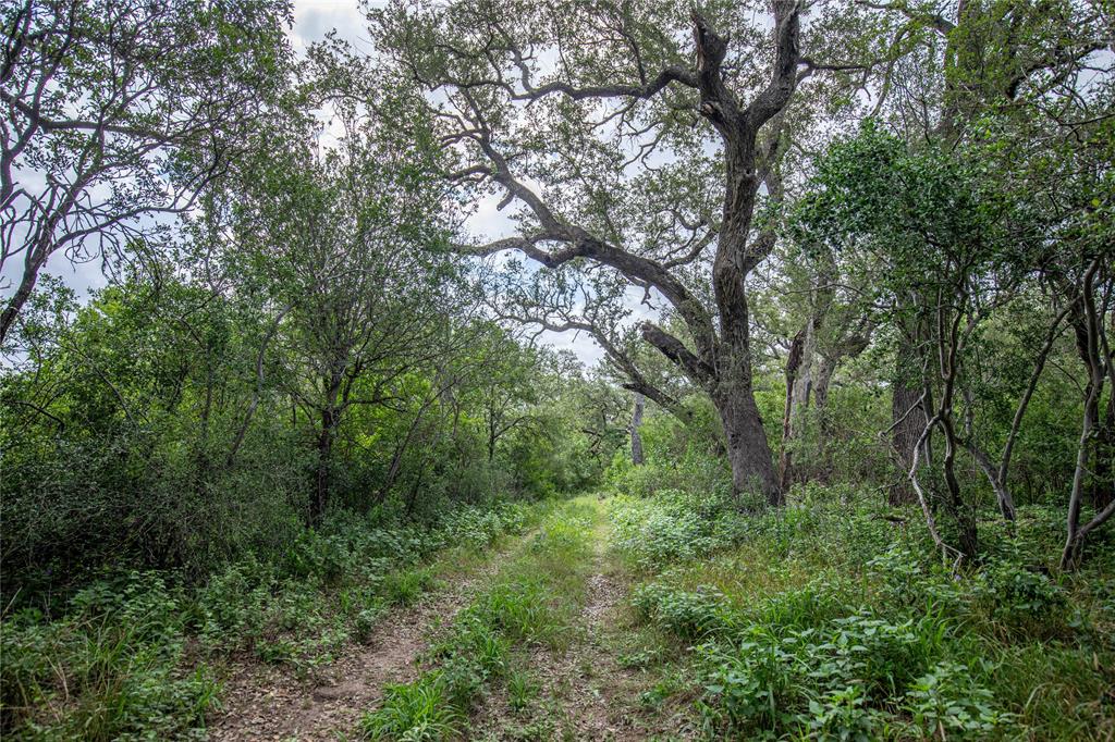 7 North Lane, Uvalde, Texas image 38