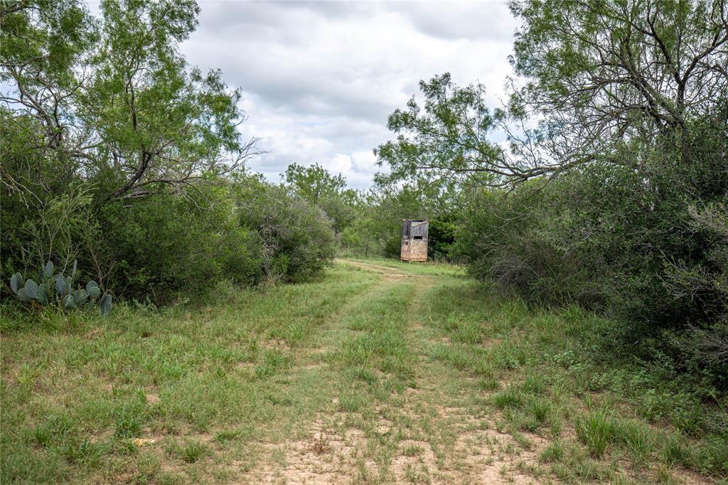 7 North Lane, Uvalde, Texas image 44