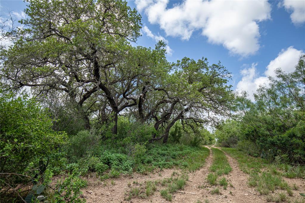 7 North Lane, Uvalde, Texas image 47