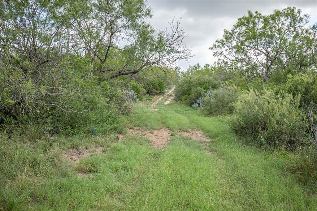 7 North Lane, Uvalde, Texas image 30