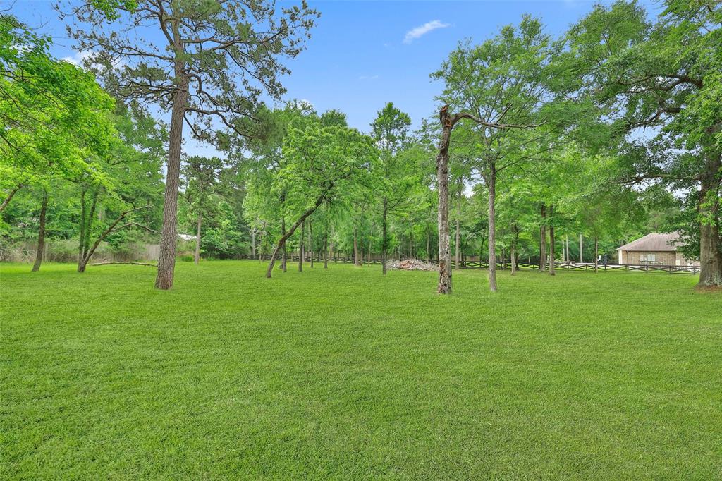 36132 Quiet Forest, Magnolia, Texas image 39