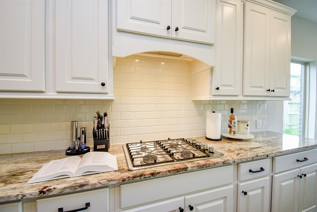 2804 Sable Creek Lane, Pearland, Texas image 9