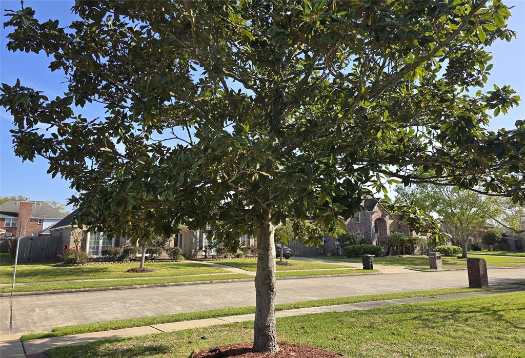 1708 Country Club Drive, Friendswood, Texas image 45