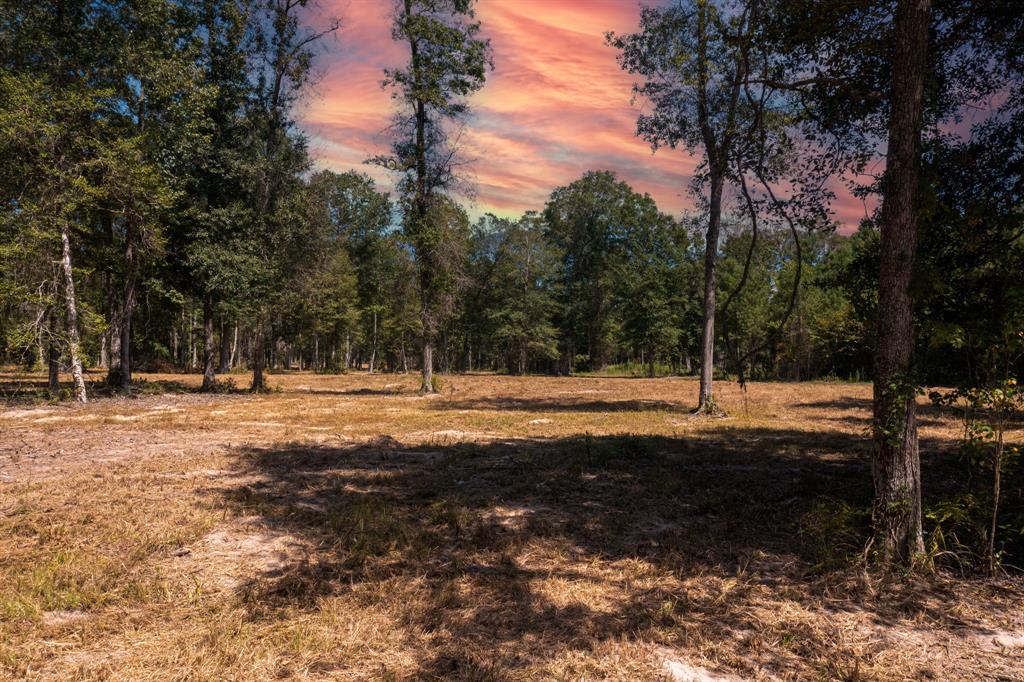 County Road 2195, Cleveland, Texas image 1